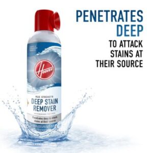 Deep Stain Remover Aerosol (440ml)